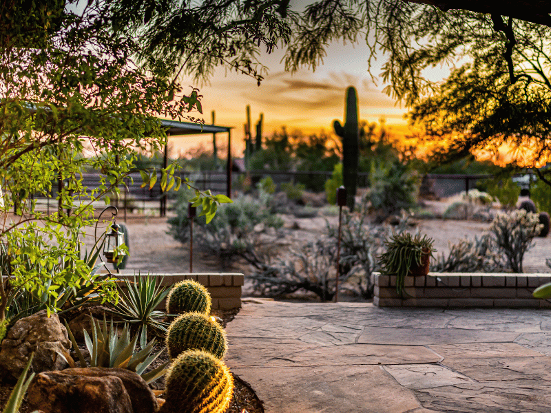 Sunset over a beautiful, plant-filled patio.